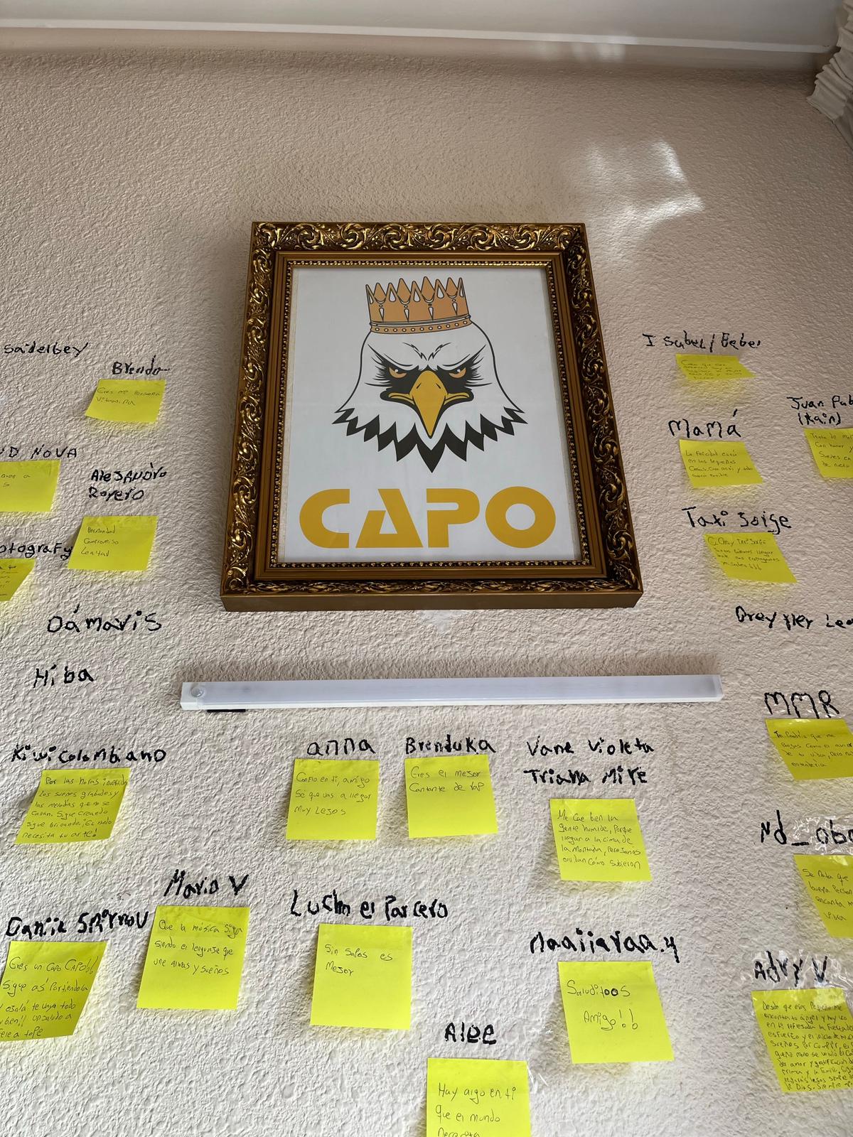 El Muro de El Capo de la Jugada